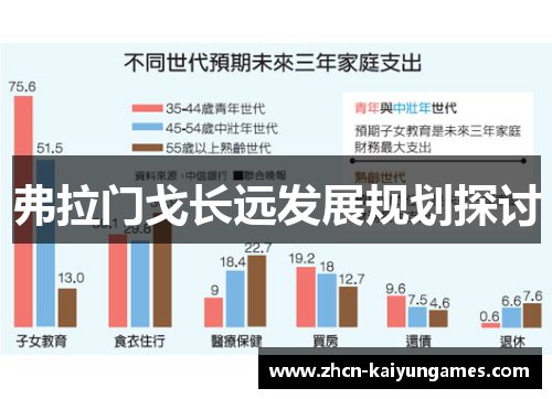 弗拉门戈长远发展规划探讨