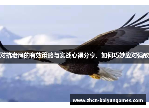 对抗老鹰的有效策略与实战心得分享，如何巧妙应对强敌