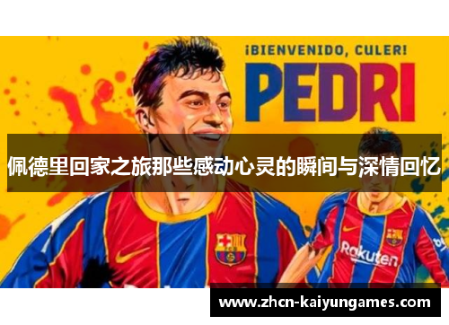 佩德里回家之旅那些感动心灵的瞬间与深情回忆