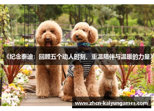 《纪念泰迪：回顾五个动人时刻，重温陪伴与温暖的力量》