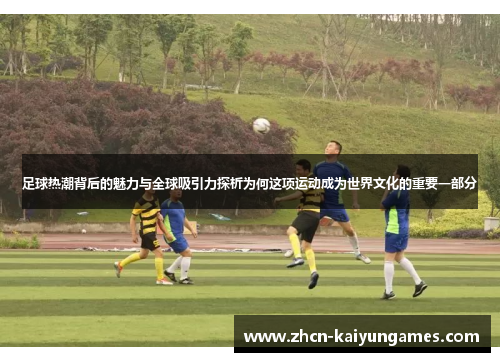 足球热潮背后的魅力与全球吸引力探析为何这项运动成为世界文化的重要一部分