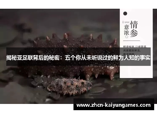 揭秘亚足联背后的秘密：五个你从未听说过的鲜为人知的事实