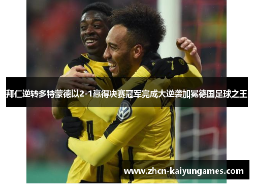 拜仁逆转多特蒙德以2-1赢得决赛冠军完成大逆袭加冕德国足球之王